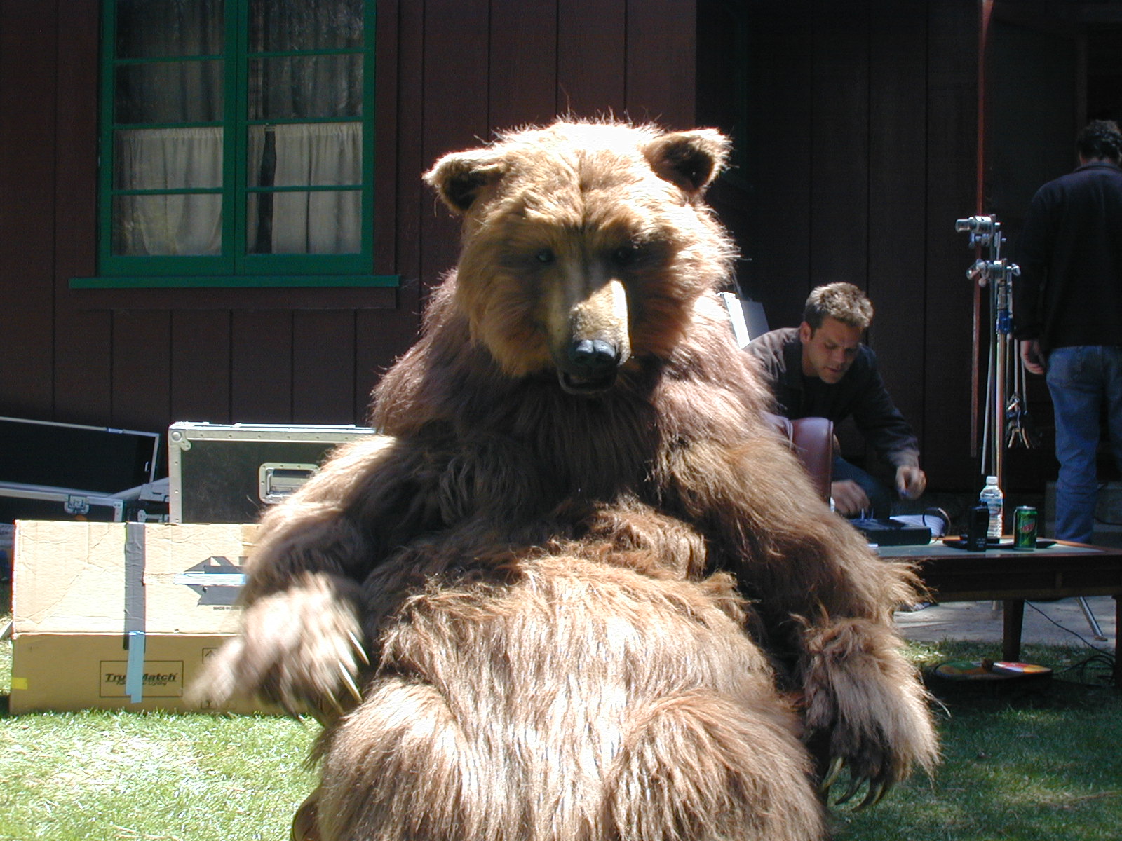 Greenpeace Bear